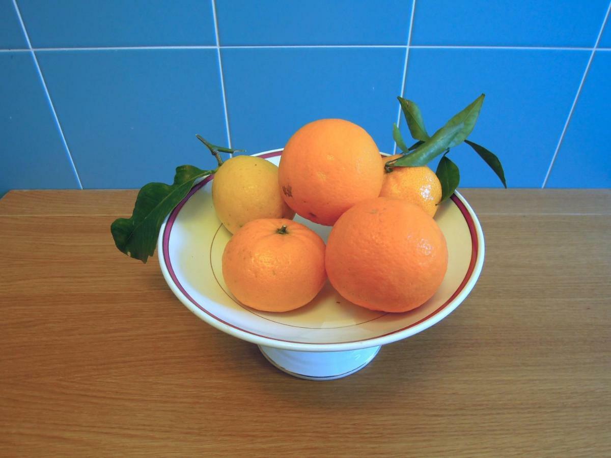 Casa De Angelis Orange & Blue Apartment Сант'Агнело Екстериор снимка